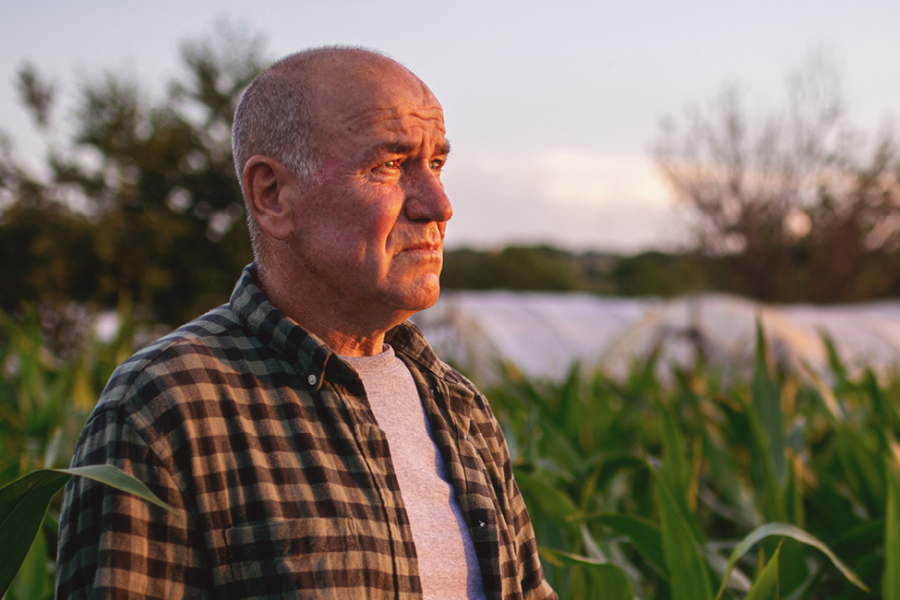 Older man overlooking field